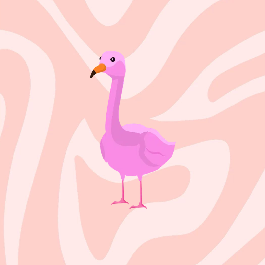 Flamingo