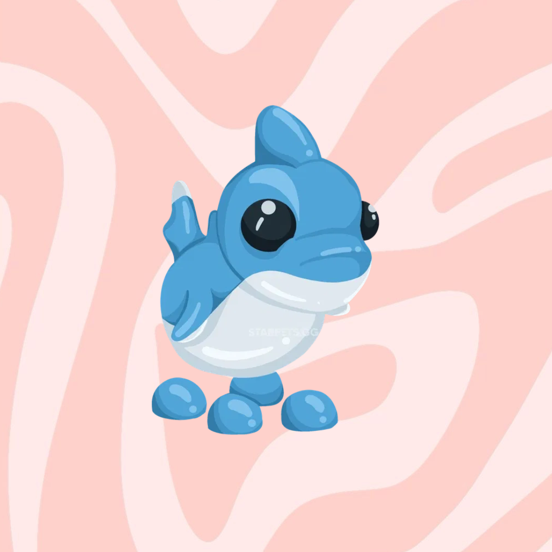 Shark Puppy