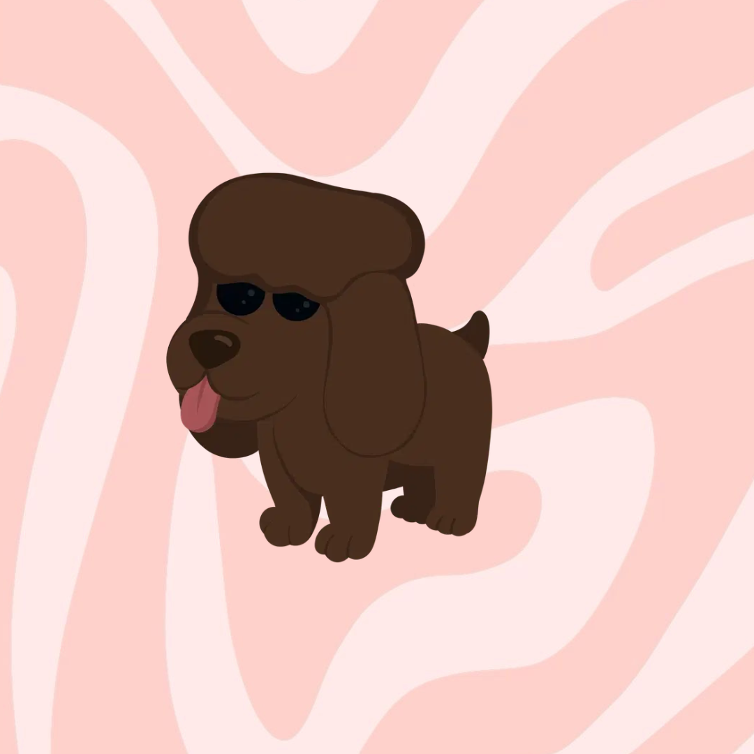 Irish Water Spaniel