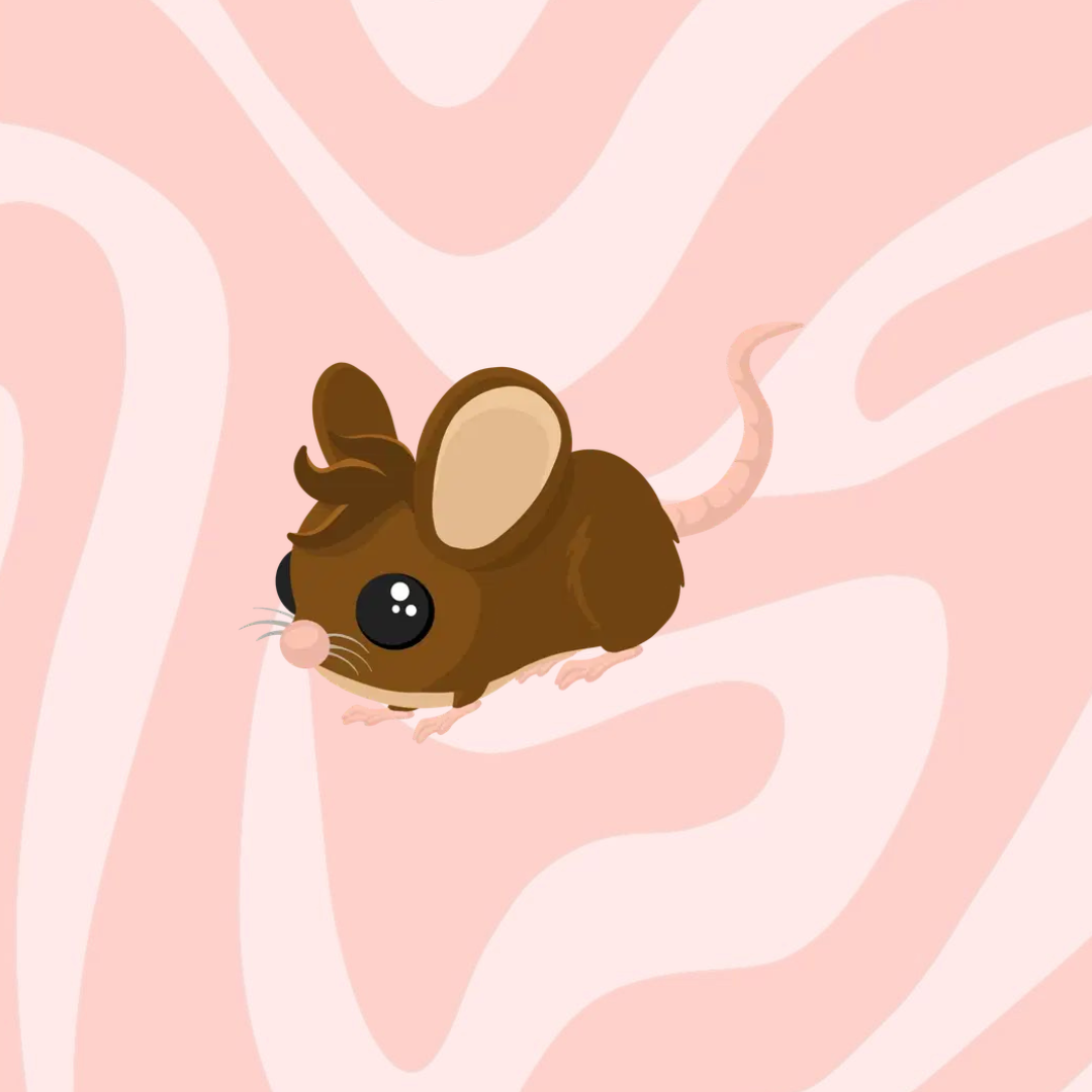 Field Mouse