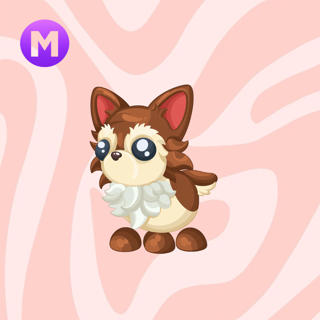 Mega Chihuahua