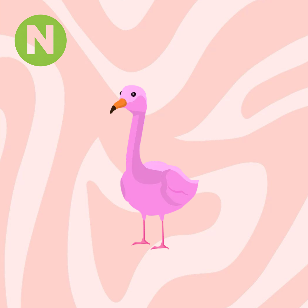 Neon Flamingo