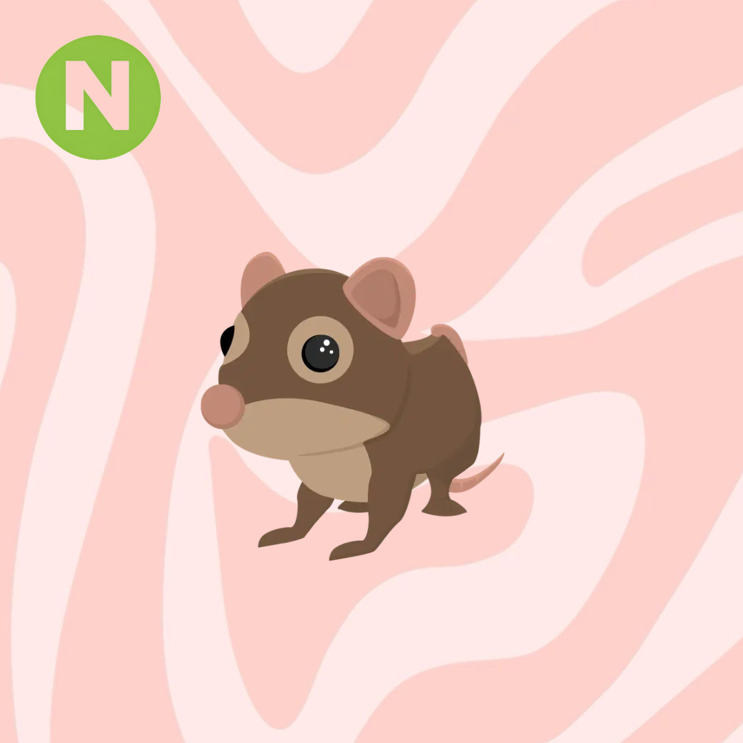 Neon Shrew