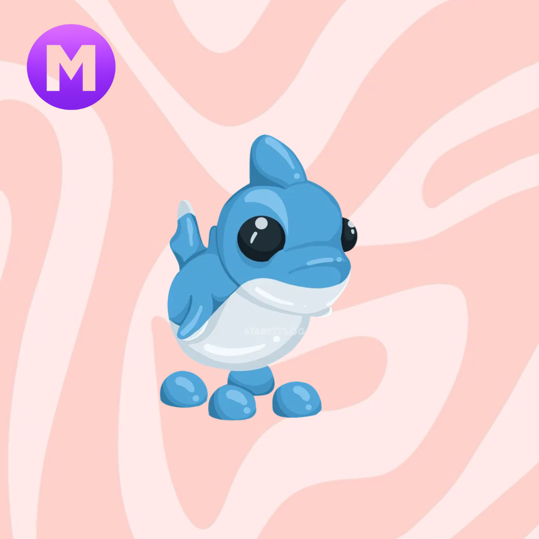Mega Shark puppy