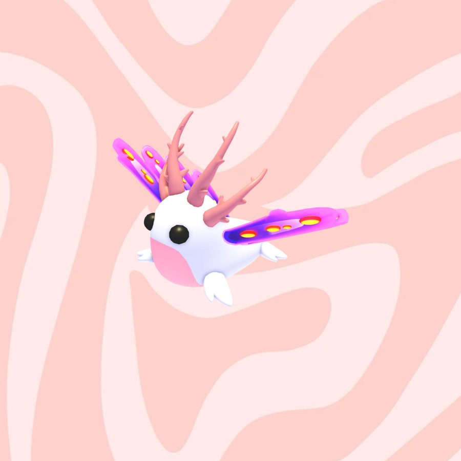 Sea Slug