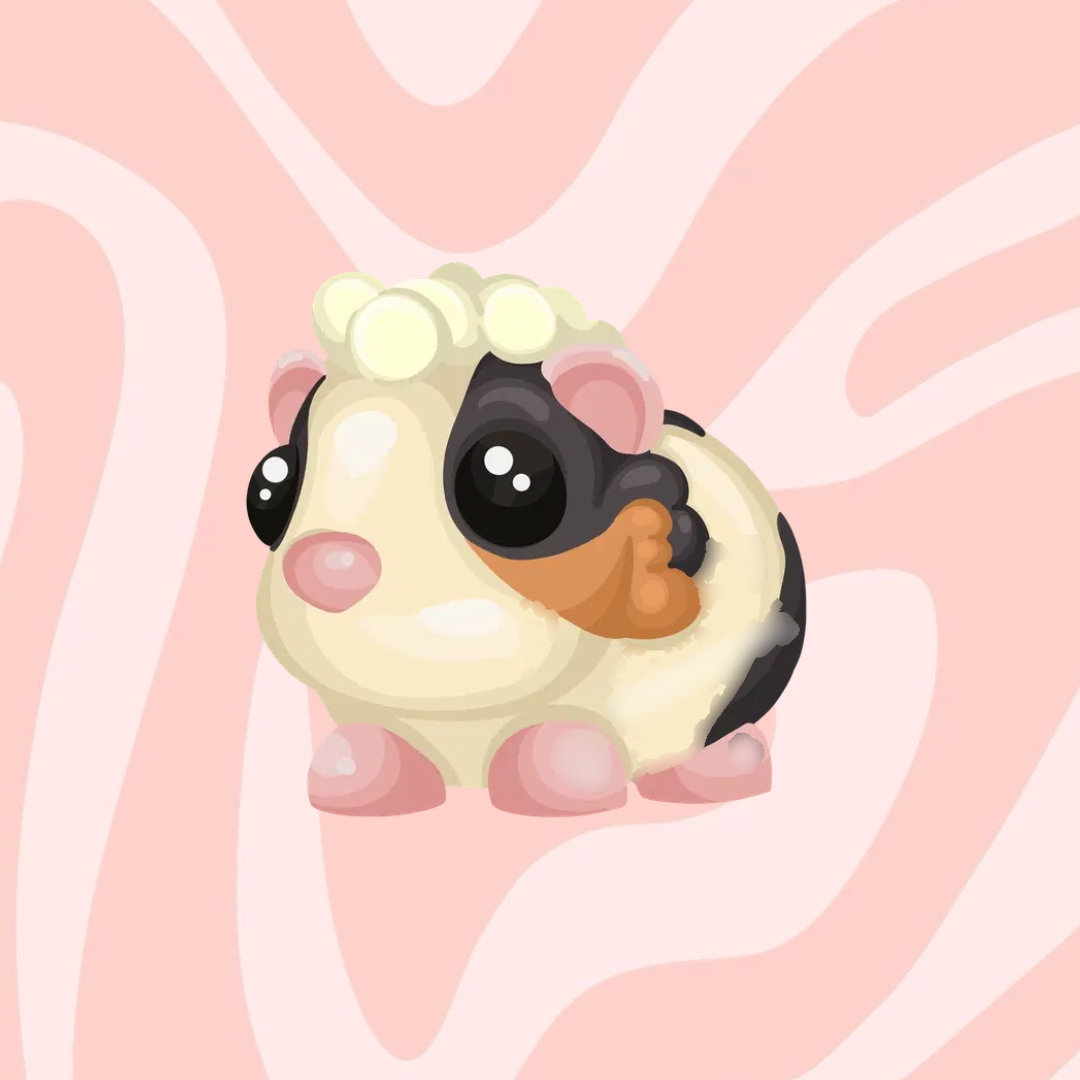 Tortoise Shell Guinea Pig