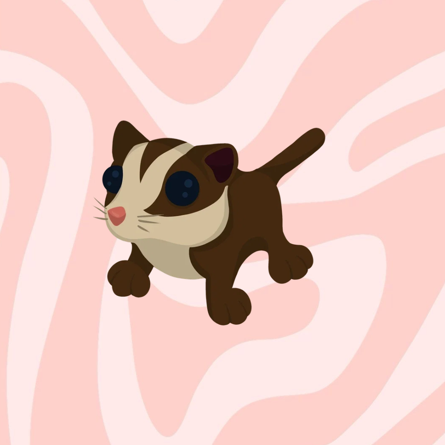 Sugar Glider