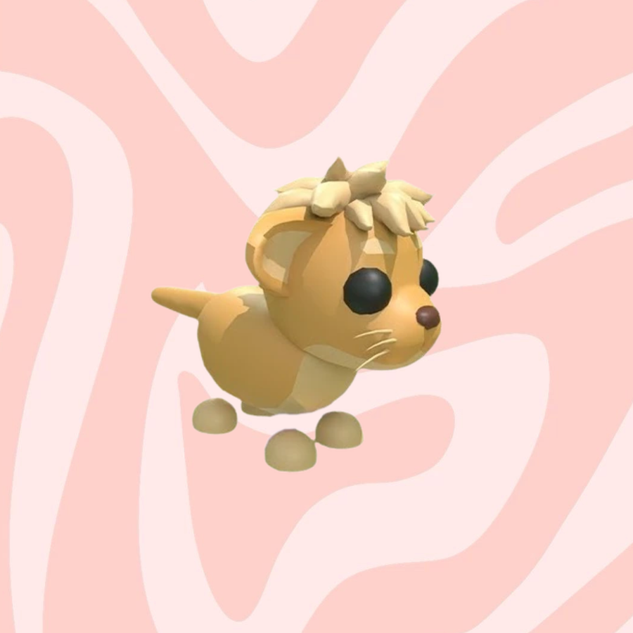 Lion Cub
