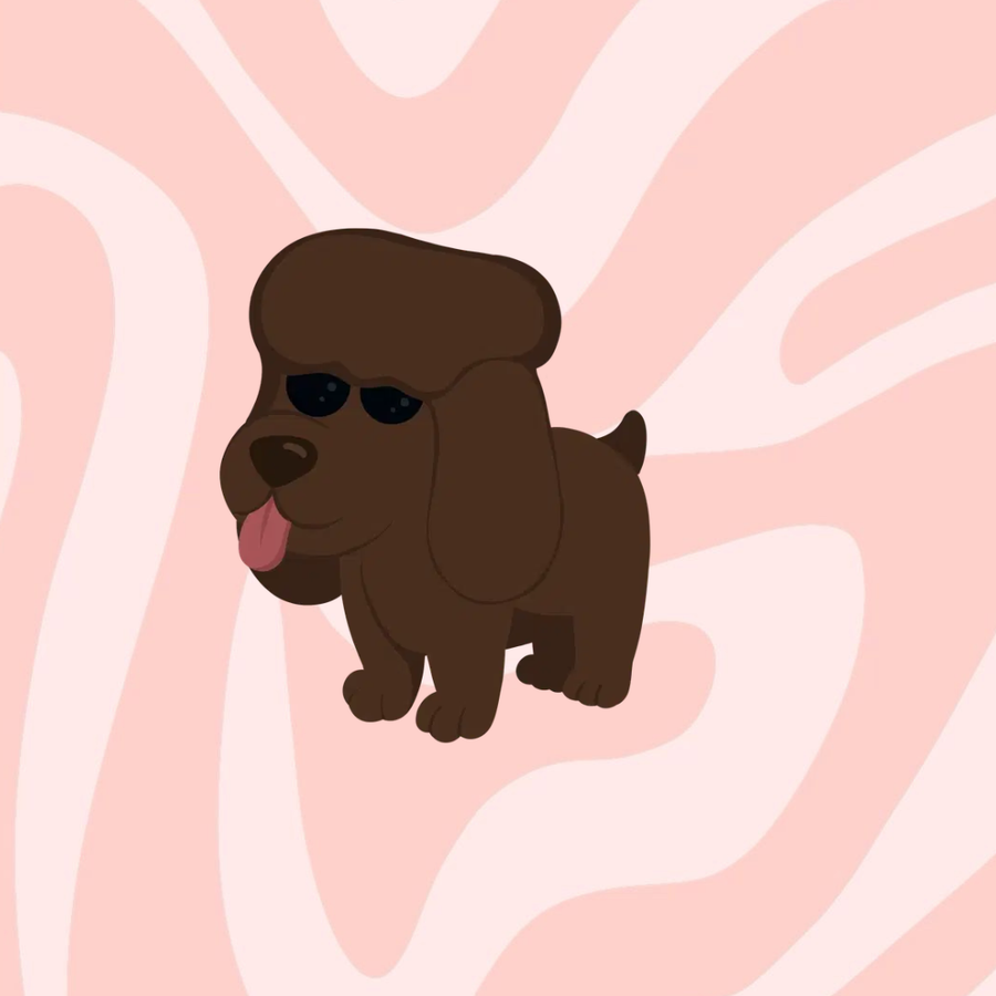 Irish Water Spaniel