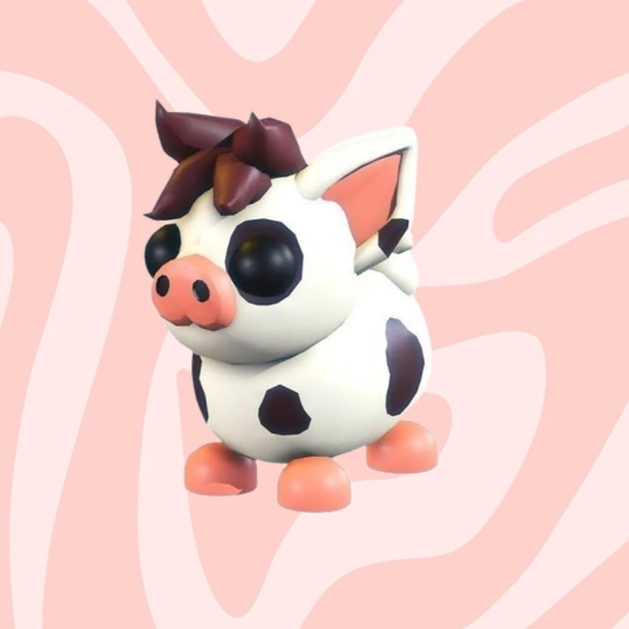 Mini Pig