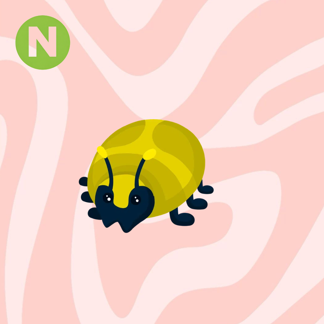 Neon Giant Gold Scarab