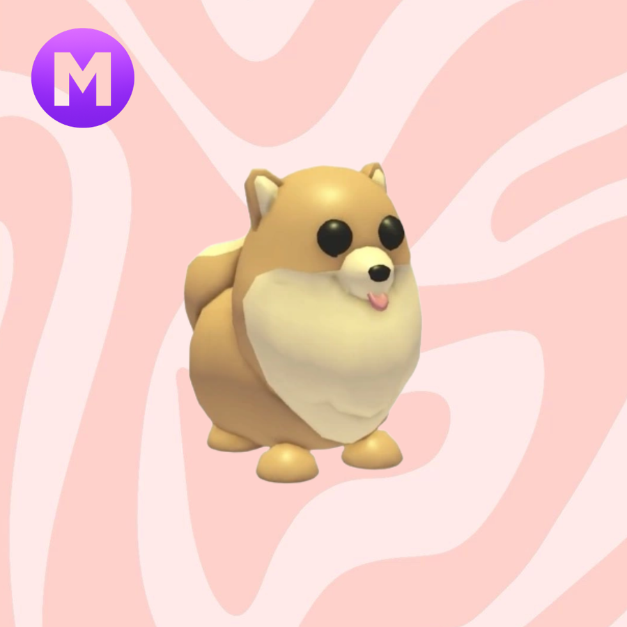 Mega Pomeranian