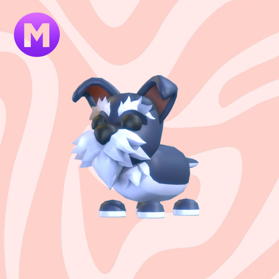 Mega Mini Schnauzer