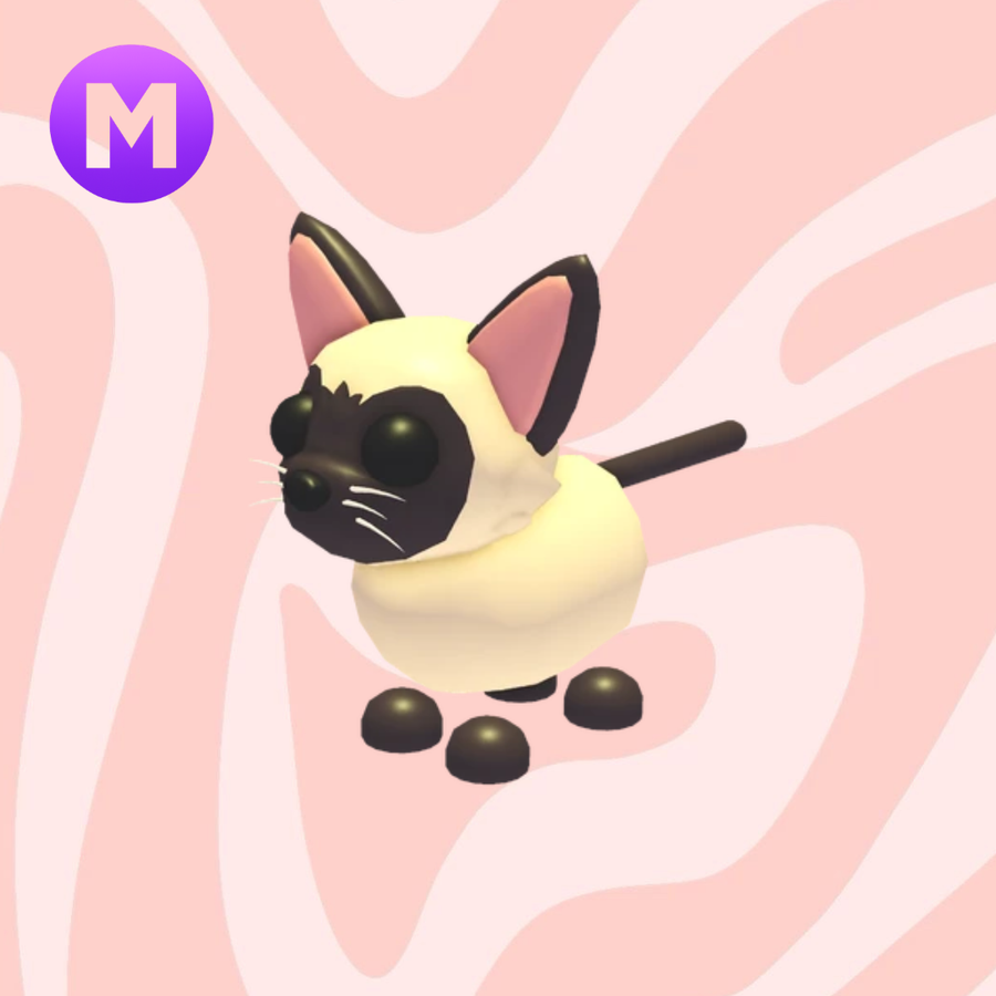 Mega Siamese Cat